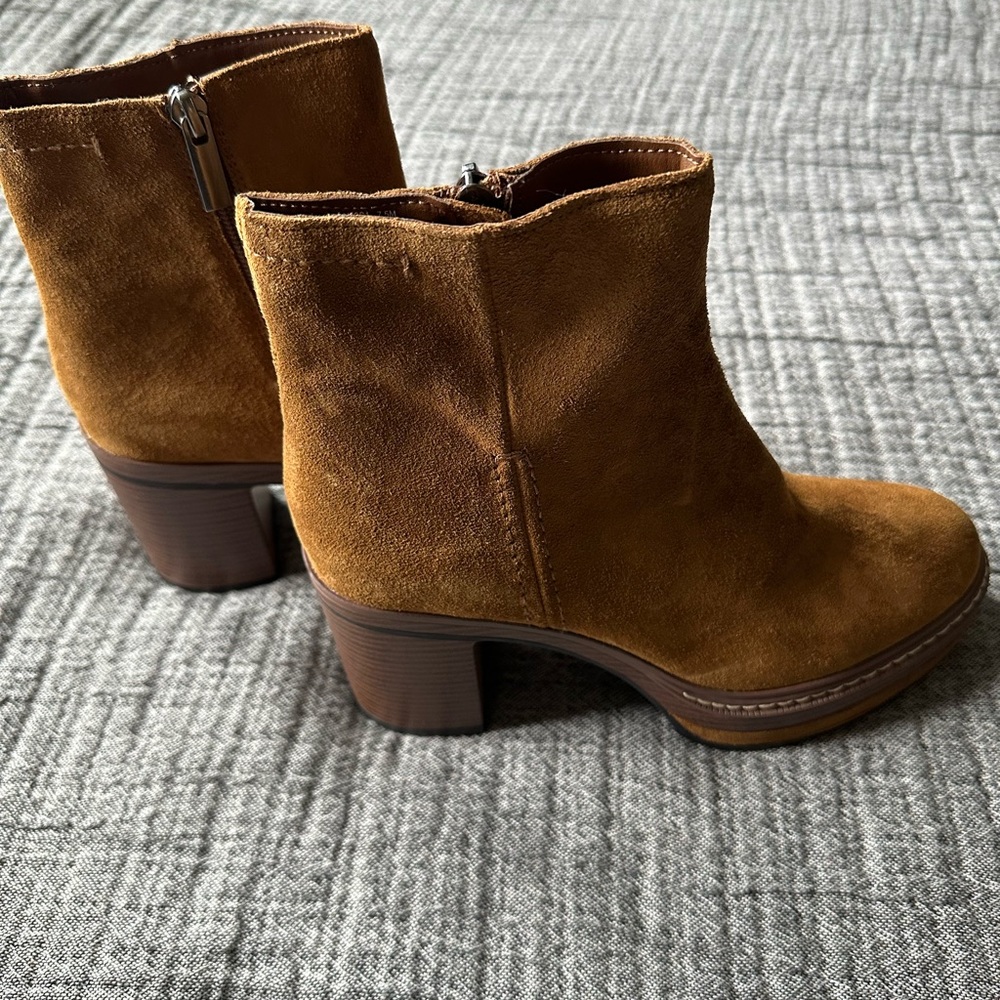 Brand new Steve Madden shanyia booties